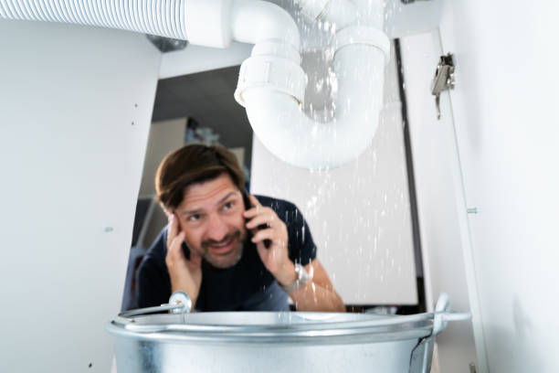 Best 24-Hour Plumber Near Me  in Rossville, TN